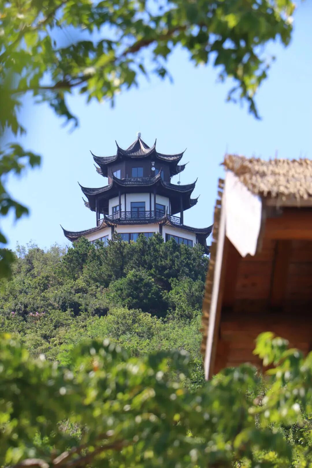 在缥缈峰，放松一“夏”！
