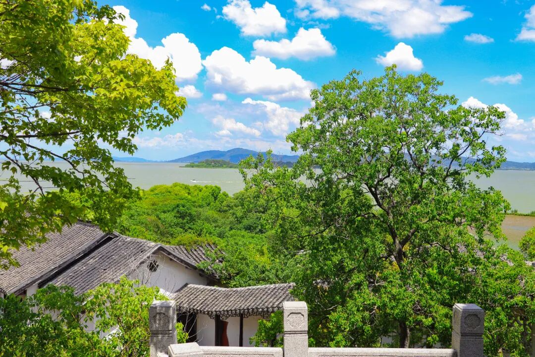 这个夏天，石公山“荷”你有约~