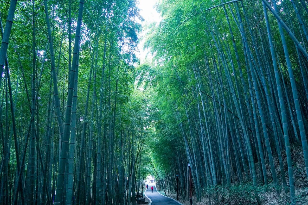 穹窿山避暑去~
