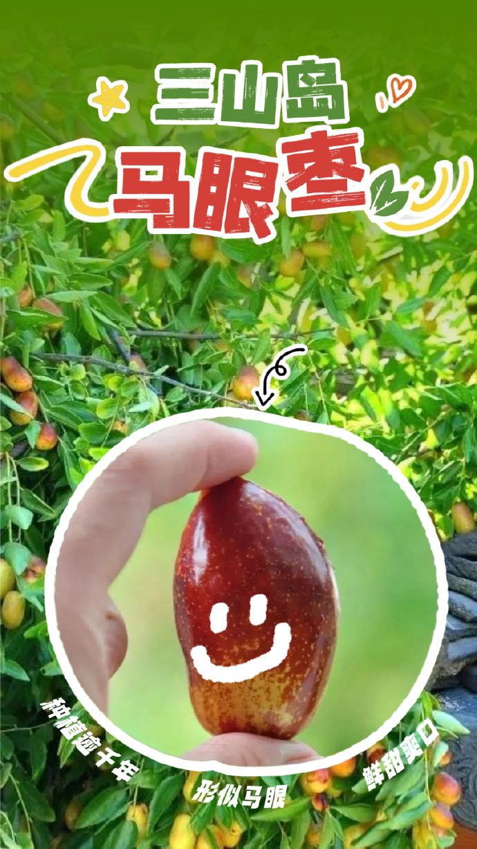 新鲜上市！来吴中趁“枣”尝鲜