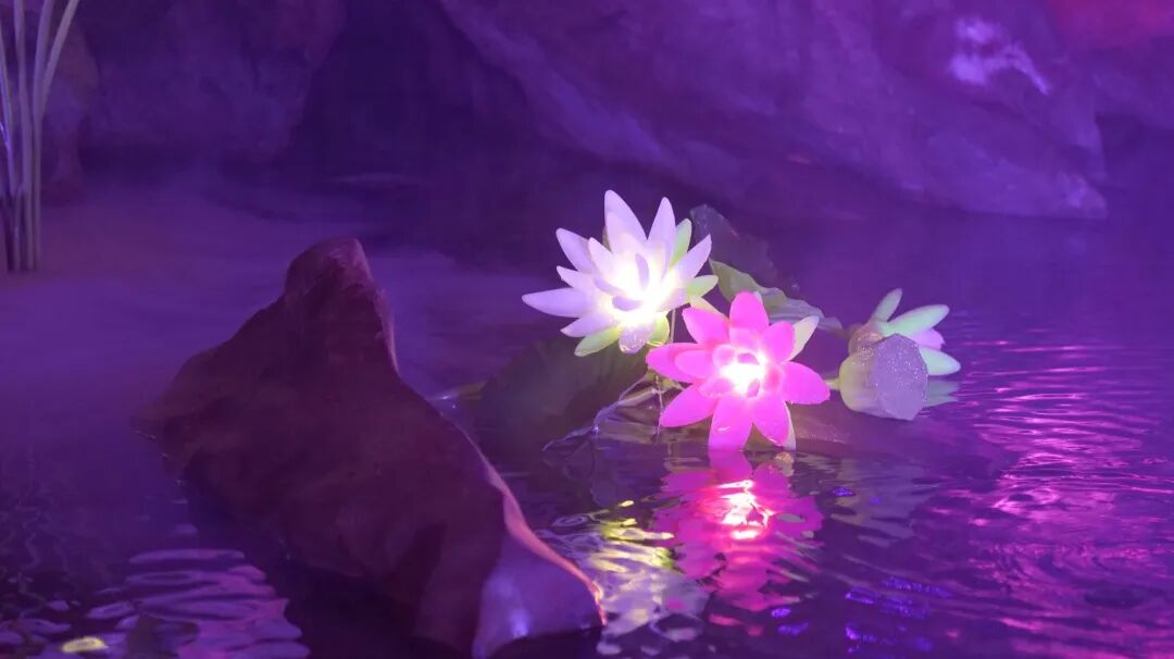 林屋洞“地理课堂”，解锁地质奥秘~