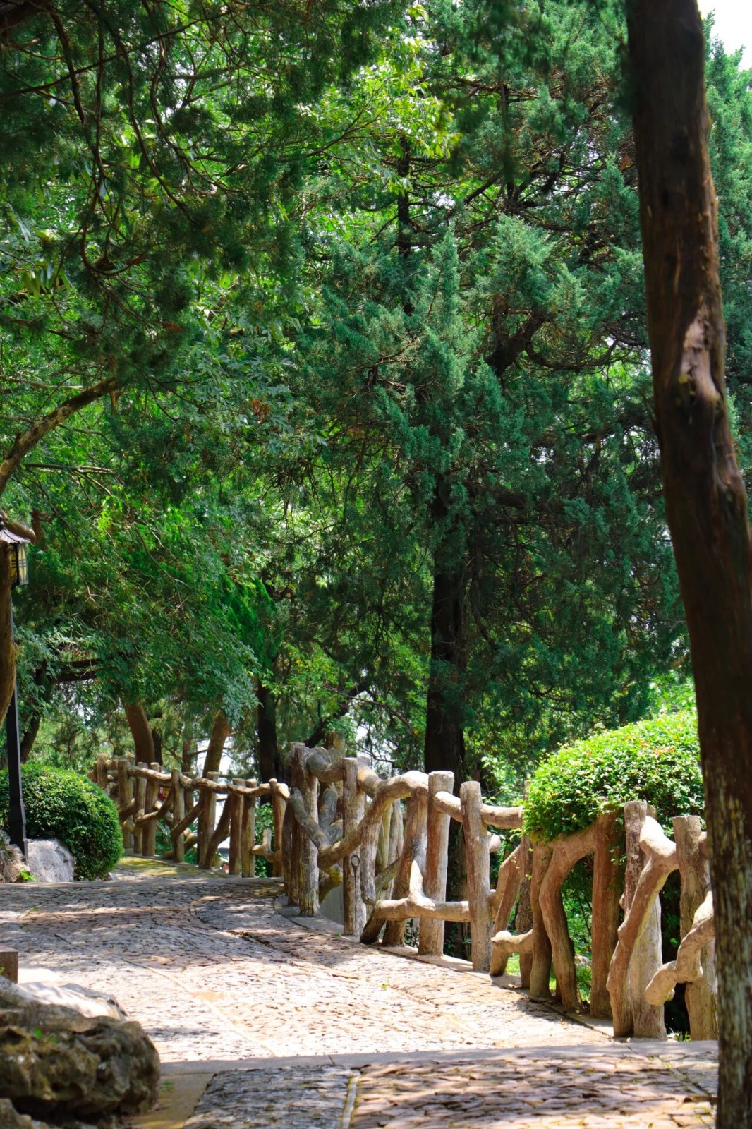 来石公山上一堂“湖海山川实景课”