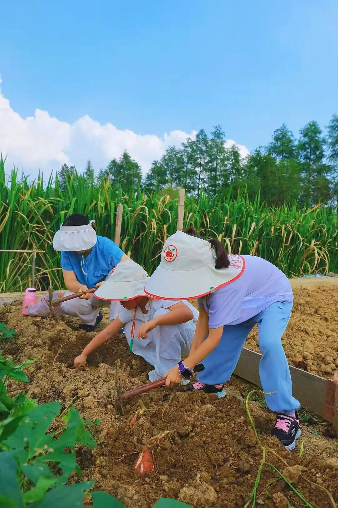 九月，该去村子里走走了~