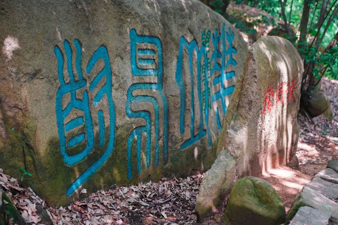出发！跟着这条山林徒步线研学去~