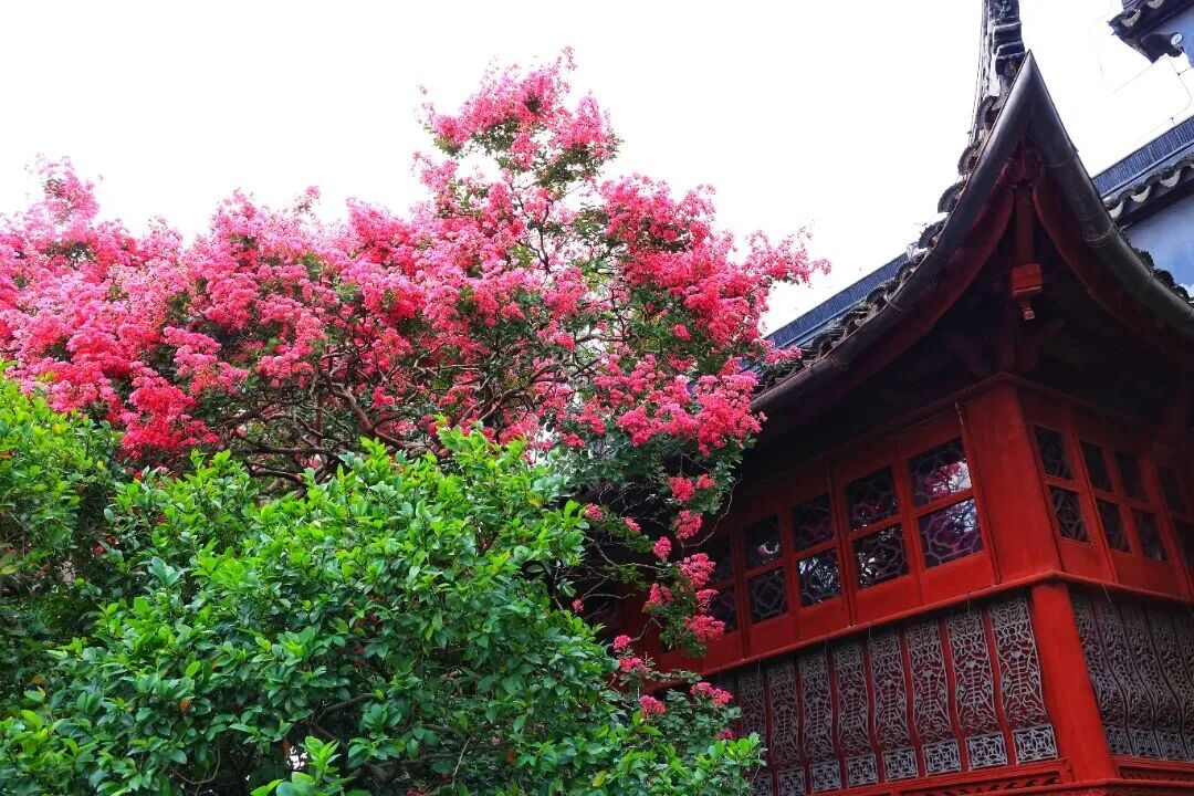 沿太湖一号公路，来东山、西山岛赏秋过双节~