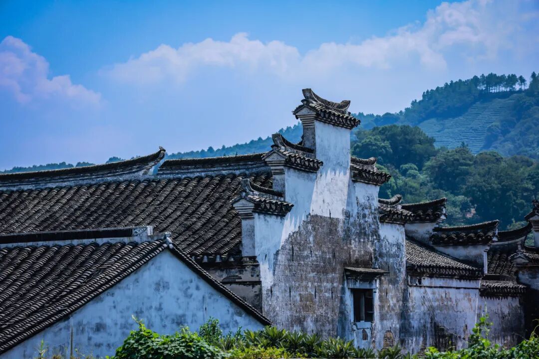 沿太湖一号公路，来东山、西山岛赏秋过双节~
