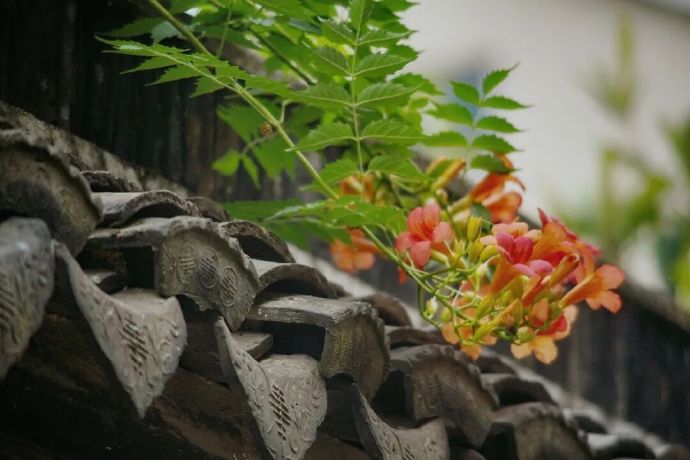 甪里古村：隐士的遗风