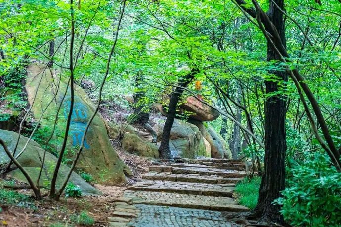 避开人潮去山里！吴中这几条登山步道已就位