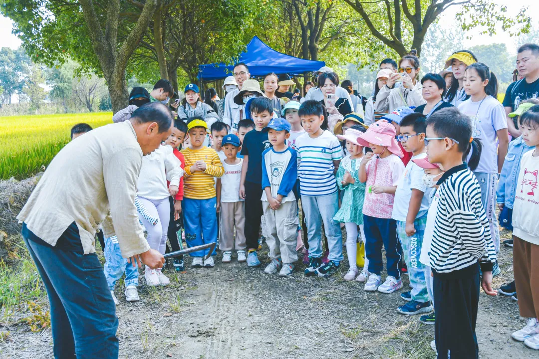 秋天好！带孩子来暖村割稻～