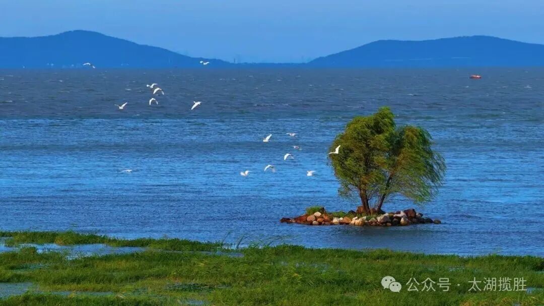 赴约，探访太湖秘境岛屿