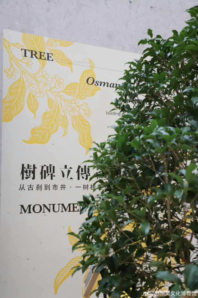 从古刹到市井，一树桂花里的江南岸