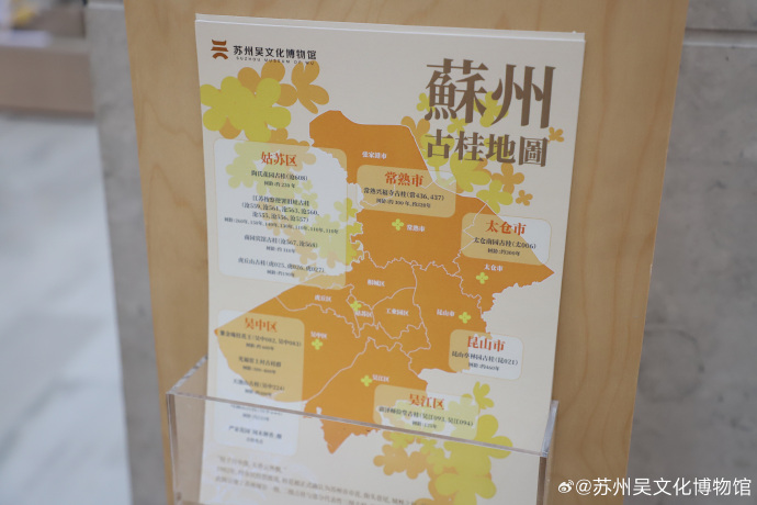 从古刹到市井，一树桂花里的江南岸