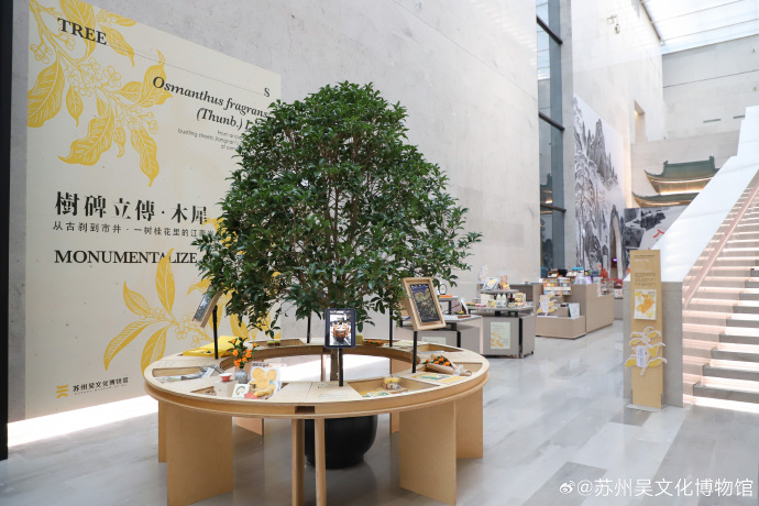 从古刹到市井，一树桂花里的江南岸