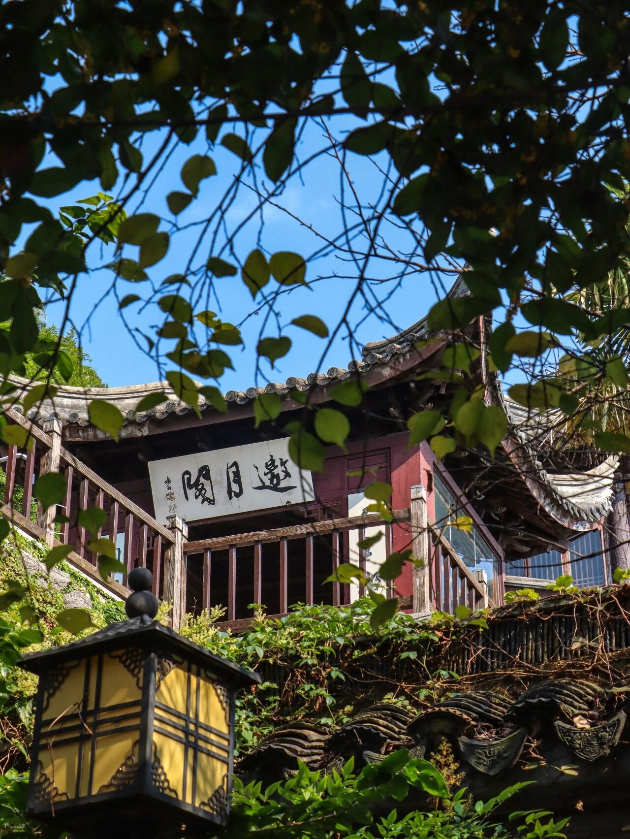 石公山的秋正慢慢铺展开来~