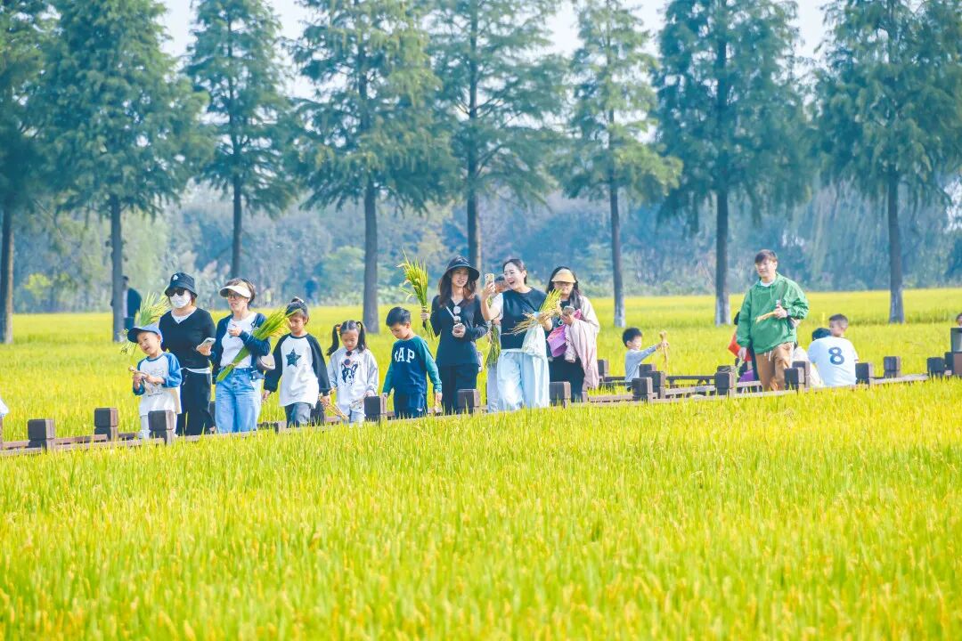 苏州“推介天团”邀你共赏吴中秋色