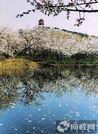 吴中旅游给力“中华文化游”主题年