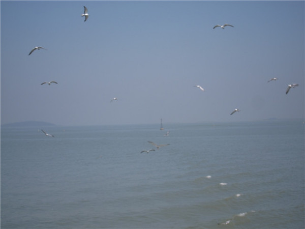 太湖景点图片