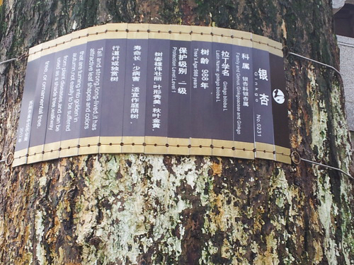 苏州旅游攻略图片