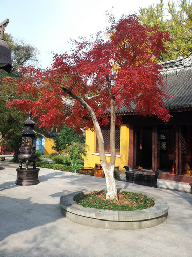苏州景点图片