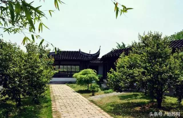苏州及周边这15大露营胜地美炸了！赶紧出发，满天星星等着你！